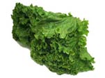 lettuce, looseleaf