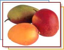 MANGOS