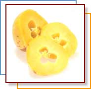 Pepino Melon2