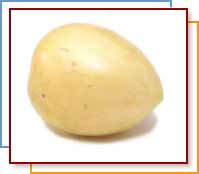 Pepino Melon