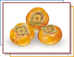 PERSIMMONS