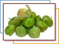 TOMATILLOS