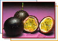 Passion Fruit