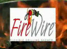 Fire Wire Flexible Grilling Skewer
