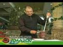 Amazon Churrascaria