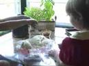 baking-hefezopf