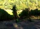 esser-vineyards