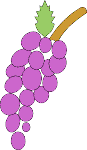 grapes2