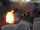 ozzie barbecue