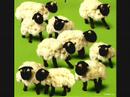 vegetables and animals