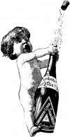 New Year Champagne New Year Champagne