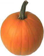 pumpkin with stem pumpkin with stem