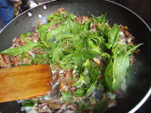 Epazote with Chapulines