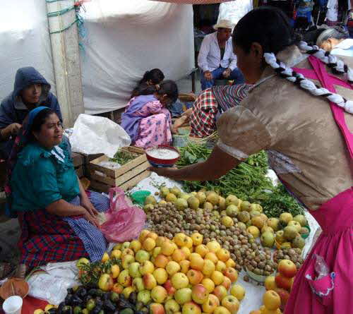 Organic Produce in Oaxaca, Mexico
