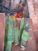 Maguey leaves ready
