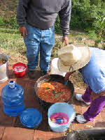 corn mash ready for cooking