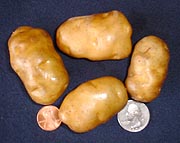 Anna Cheeka’s Ozette Potato