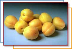 APRICOTS