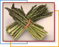 Asparagus