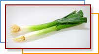 GREEN ONIONS