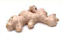 Ginger Root