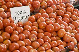 Organic Tomatoes