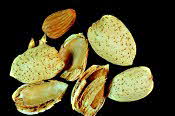 Almonds in shell
