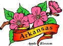Arkansas apple blossom