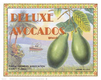 DELUXE AVOCADOS