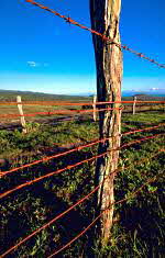 Barbed Wire Fence