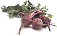 Beetroots