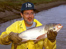 A Bighead Carp in Hand