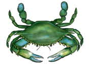 Blue Crab