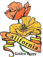 California Golden Poppy