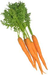 Carrot bunch