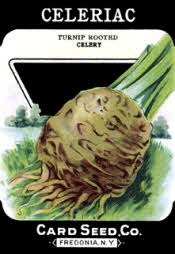 Celeriac