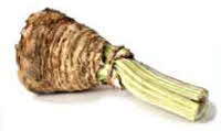 Celeriac (celery root)