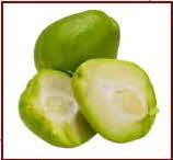 Chayote