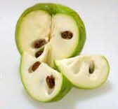 Cherimoya