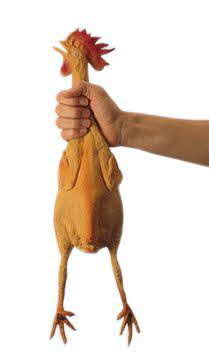 Rubber Chicken Rubber Chicken