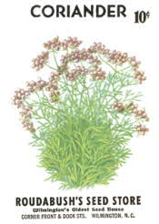 Coriander (herbs)