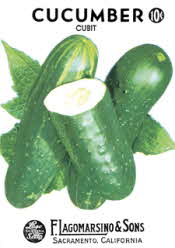 Cucumbers