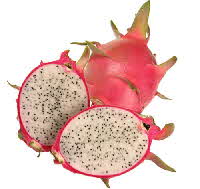 dragon fruit