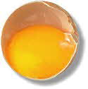 Egg Yolk