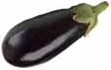 eggplant