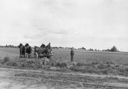 farmers in the field