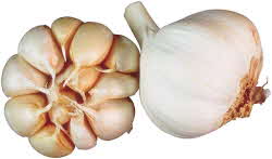 Garlic Head and Cloves