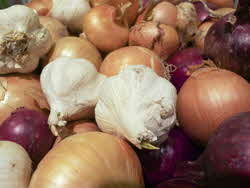 Garlic and Onions