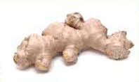 Ginger root