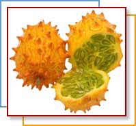 KIWANO MELON